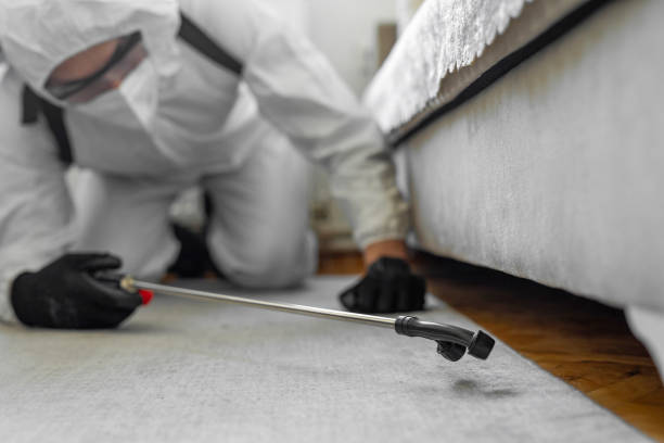 Professional Bed Bug Control technician working in Kingstowne, VA