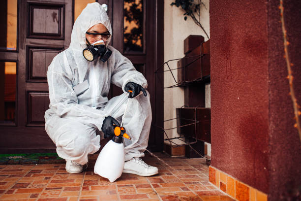 Reliable Bed Bug Control contractor in Kingstowne, VA by Nex Pest Control